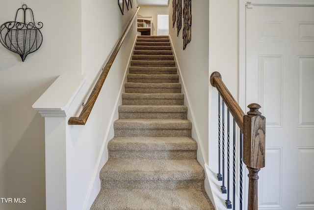 194 Wanderlust Ct, Johnson City, TN 37604 - staircase featuring carpet floors