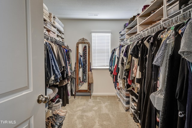 194 Wanderlust Ct, Johnson City, TN 37604 - walk in closet with carpet floors