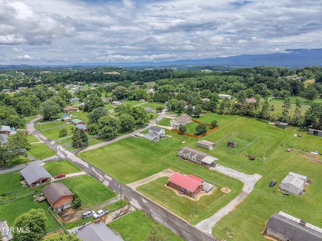 152 Goddard Dr, Greeneville, TN 37745 - photo 31