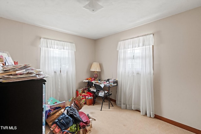 152 Goddard Dr, Greeneville, TN 37745 - photo 19