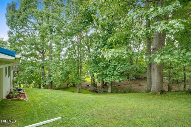 380 Lovelace Loop, Mountain View Loop, Fall Branch, TN 37656 - view of yard