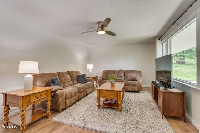 380 Lovelace Loop, Mountain View Loop, Fall Branch, TN 37656 - living room featuring light wood-style floors and ceiling fan