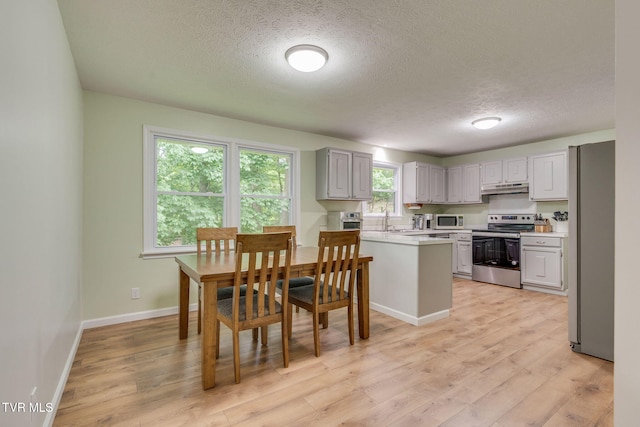 380 Lovelace Loop, Mountain View Loop, Fall Branch, TN 37656 - kitchen featuring appliances with stainless steel finishes, under cabinet range hood, a textured ceiling, light countertops, and light wood-style flooring