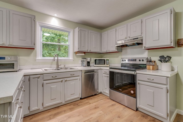 380 Lovelace Loop, Mountain View Loop, Fall Branch, TN 37656 - kitchen featuring appliances with stainless steel finishes, under cabinet range hood, light wood-style flooring, and light countertops