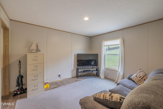 120 Maple Crest Cir, Surgoinsville, TN 37873 - living area featuring crown molding, wood finished floors, and a textured ceiling