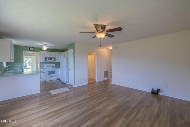124 Maple Crest Cir, Surgoinsville, TN 37873 - unfurnished living room featuring ceiling fan and wood finished floors