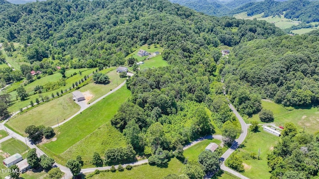 124 Maple Crest Cir, Surgoinsville, TN 37873 - drone / aerial view of a forest