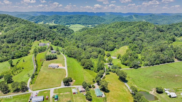 124 Maple Crest Cir, Surgoinsville, TN 37873 - bird's eye view of a heavily wooded area