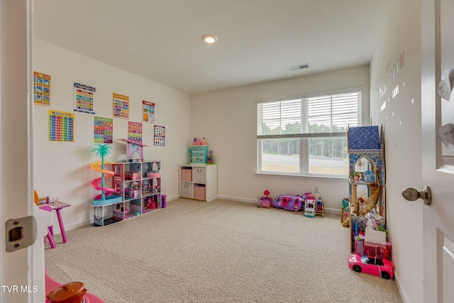 132 Breckenridge Trce, Kingsport, TN 37663 - photo 31