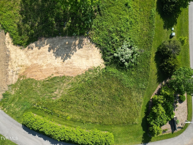 Tbd Exclamation Point Lot 195, Bristol, VA 24202