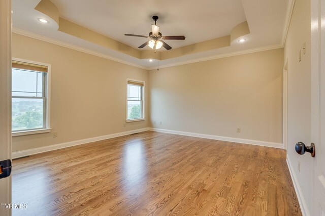 397 Ridgecrest Rd, Jonesborough, TN 37659 - spare room with healthy amount of natural light, a ceiling fan, a raised ceiling, light wood finished floors, and ornamental molding