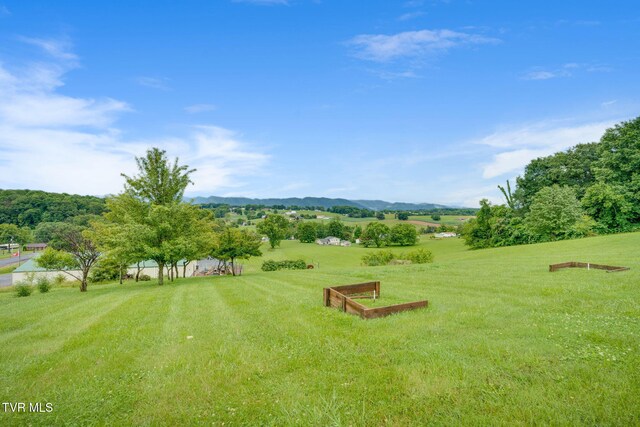 397 Ridgecrest Rd, Jonesborough, TN 37659 - view of grassy yard featuring a mountain view and a view of countryside