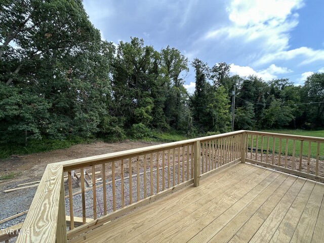 114 Longview Dr, Greeneville, TN 37745 - photo 38