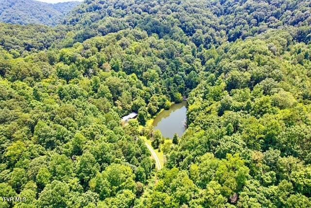 188 Flanary St, Kingsport, TN 37660 - aerial view of a large body of water and a forest
