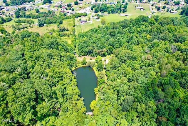 188 Flanary St, Kingsport, TN 37660 - view of property location with a large body of water