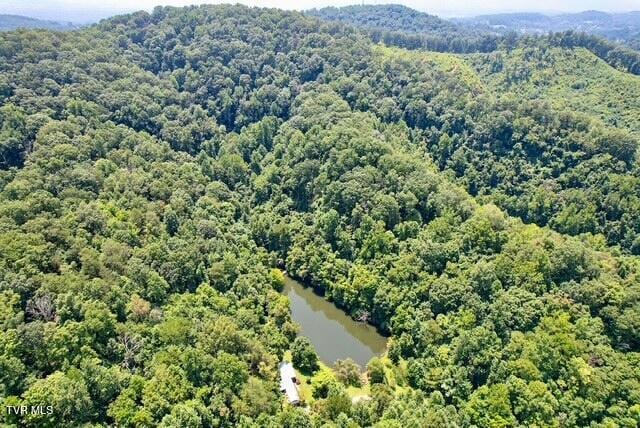 188 Flanary St, Kingsport, TN 37660 - bird's eye view of a forest