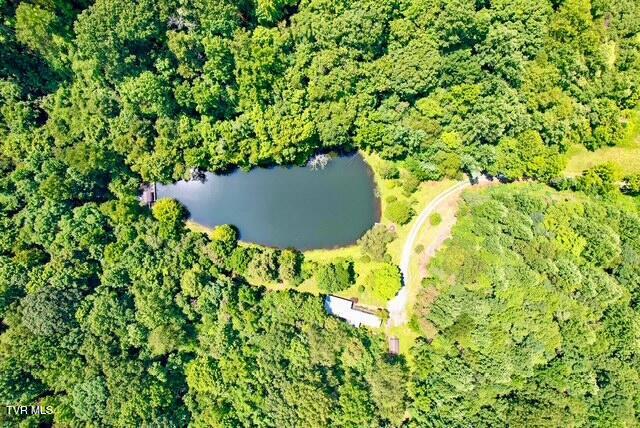 188 Flanary St, Kingsport, TN 37660 - aerial view of property's location featuring a large body of water
