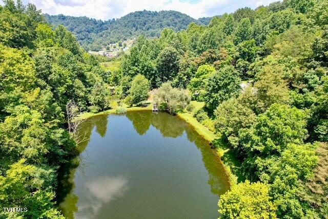 188 Flanary St, Kingsport, TN 37660 - drone / aerial view of a heavily wooded area and a large body of water