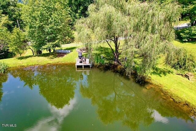 188 Flanary St, Kingsport, TN 37660 - dock featuring a water view and a wooded view