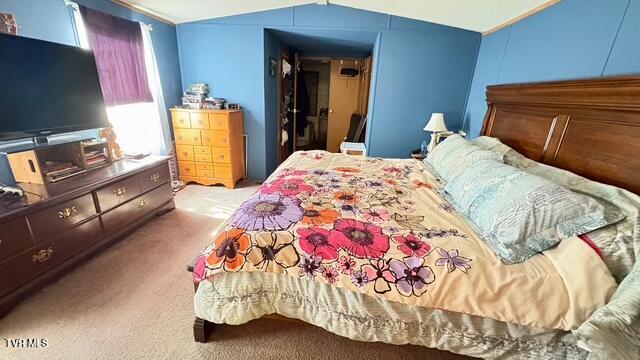 188 Flanary St, Kingsport, TN 37660 - bedroom with carpet