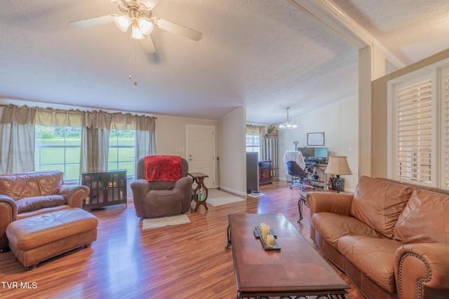 1070 Bill Martin Rd, Afton, TN 37616 - living area with a textured ceiling, lofted ceiling, light wood-type flooring, a chandelier, and ceiling fan