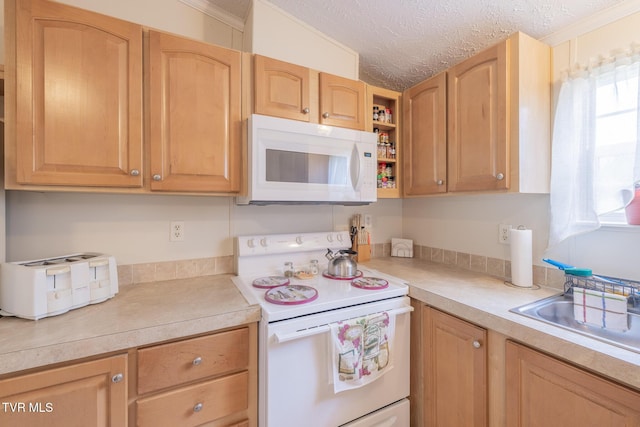 1070 Bill Martin Rd, Afton, TN 37616 - kitchen with white appliances, light countertops, a textured ceiling, ornamental molding, and light brown cabinetry
