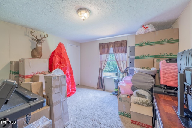 1070 Bill Martin Rd, Afton, TN 37616 - view of storage room
