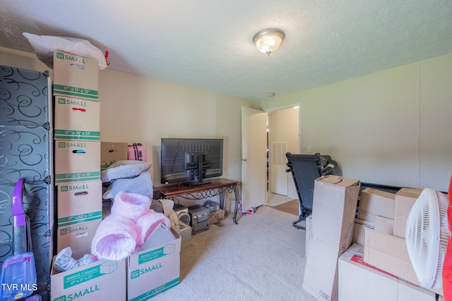 1070 Bill Martin Rd, Afton, TN 37616 - office with carpet floors and a textured ceiling