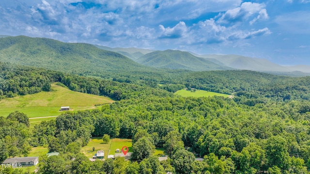 1070 Bill Martin Rd, Afton, TN 37616 - mountain view with a heavily wooded area