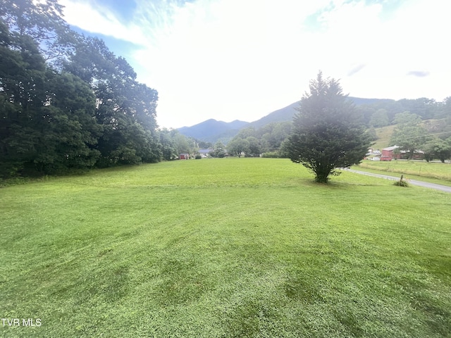 134 Carver Crabtree Rd, Hampton, TN 37658 - view of grassy yard with a mountain view and a view of rural / pastoral area