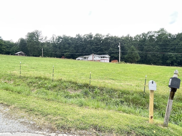 134 Carver Crabtree Rd, Hampton, TN 37658 - view of yard
