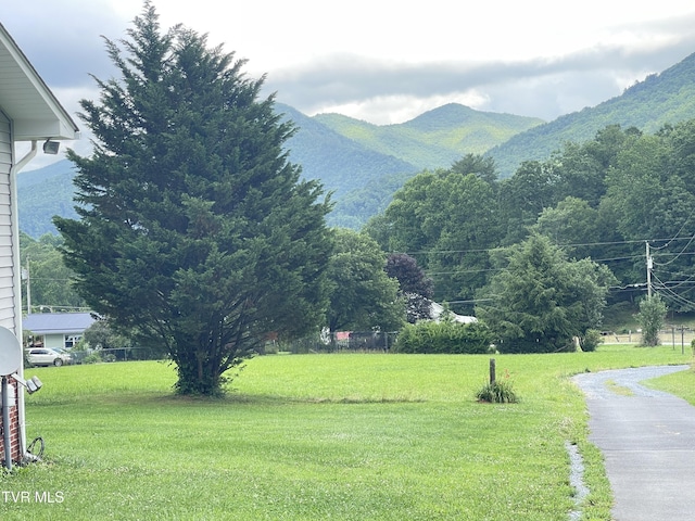 134 Carver Crabtree Rd, Hampton, TN 37658 - mountain view