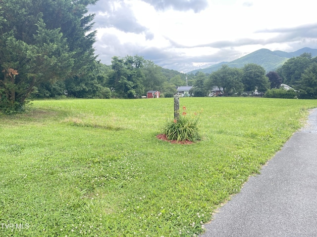 134 Carver Crabtree Rd, Hampton, TN 37658 - view of yard with a mountain view, a view of countryside, and a shed