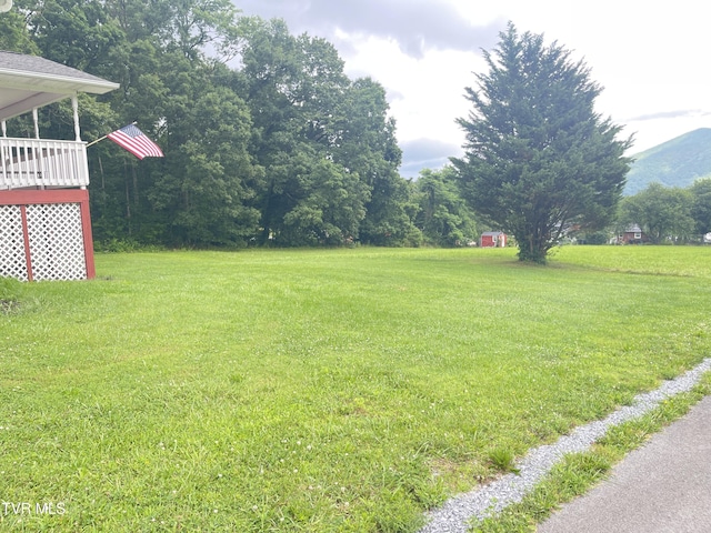 134 Carver Crabtree Rd, Hampton, TN 37658 - view of grassy yard