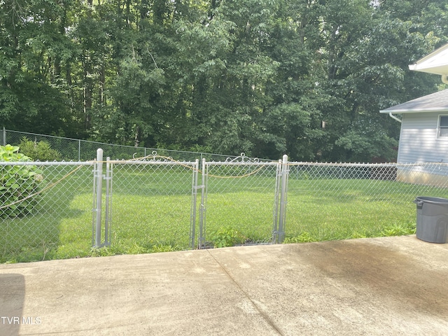 134 Carver Crabtree Rd, Hampton, TN 37658 - view of yard