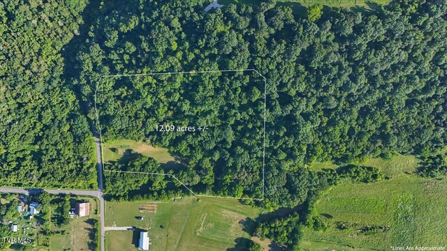 TBD Piedmont Rd, New Market, TN 37820 - photo 3
