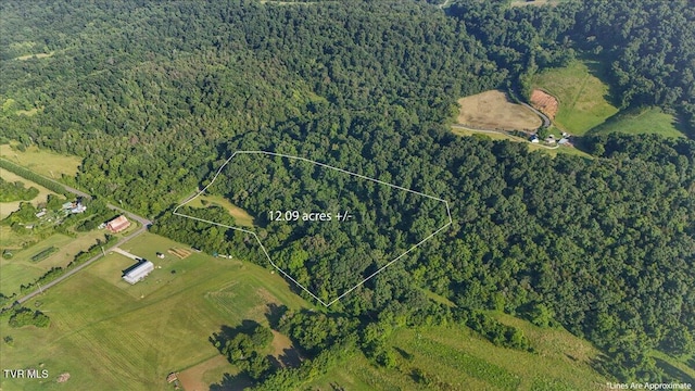 TBD Piedmont Rd, New Market, TN 37820 - photo 4