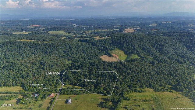 TBD Piedmont Rd, New Market, TN 37820 - photo 6