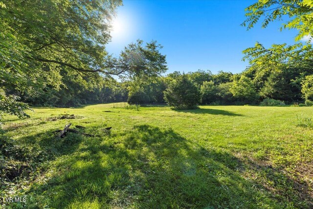 TBD Piedmont Rd, New Market, TN 37820 - photo 10
