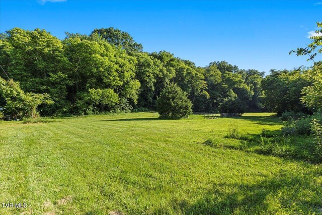 TBD Piedmont Rd, New Market, TN 37820 - photo 11