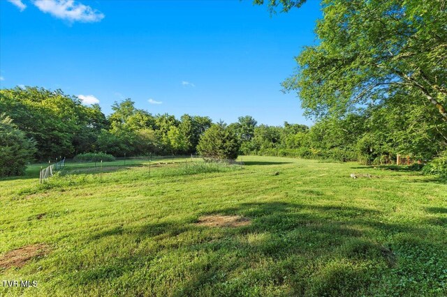 TBD Piedmont Rd, New Market, TN 37820 - photo 15