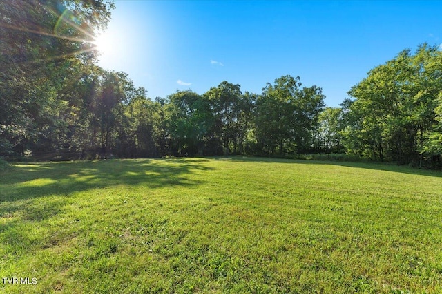 TBD Piedmont Rd, New Market, TN 37820 - photo 1