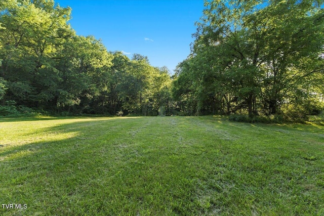 TBD Piedmont Rd, New Market, TN 37820 - photo 17
