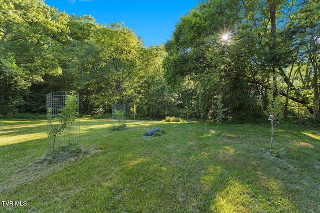 TBD Piedmont Rd, New Market, TN 37820 - photo 18