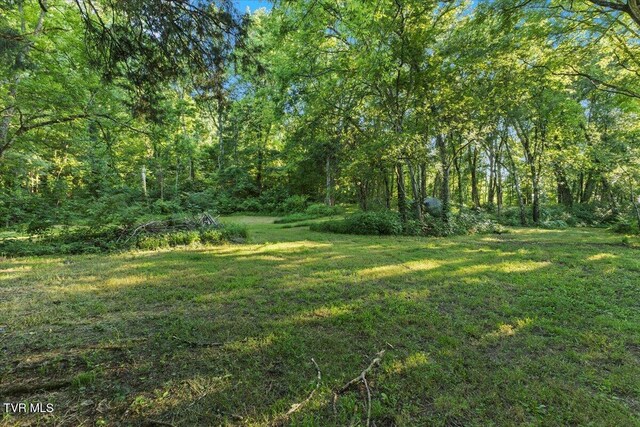 TBD Piedmont Rd, New Market, TN 37820 - photo 22