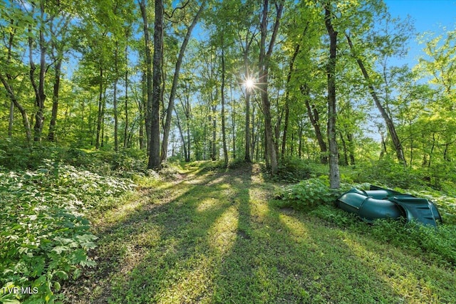 TBD Piedmont Rd, New Market, TN 37820 - photo 24