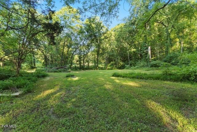 TBD Piedmont Rd, New Market, TN 37820 - photo 25