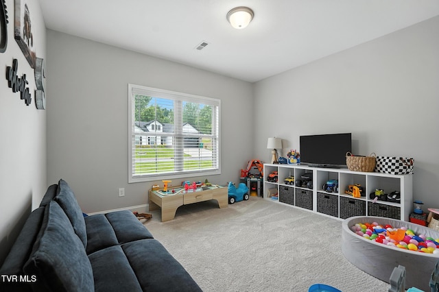 107 Ervin Loop, Erwin, TN 37650 - rec room featuring carpet flooring