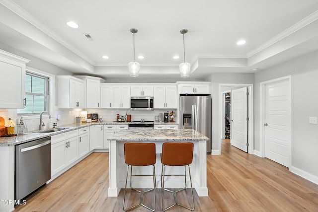 107 Ervin Loop, Erwin, TN 37650 - kitchen with stainless steel appliances, light wood-style flooring, a tray ceiling, a kitchen island, and ornamental molding