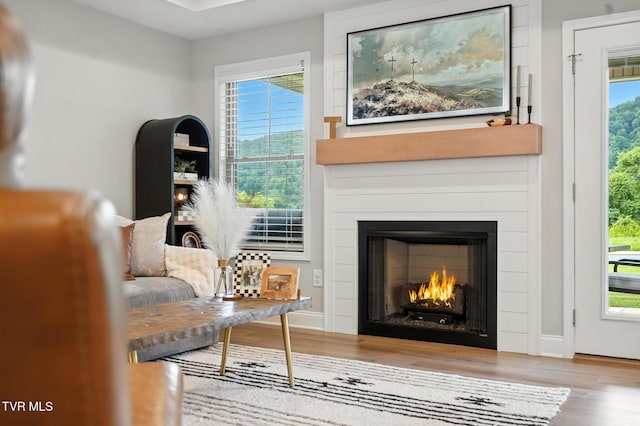 107 Ervin Loop, Erwin, TN 37650 - sitting room with wood finished floors, a large fireplace, and plenty of natural light